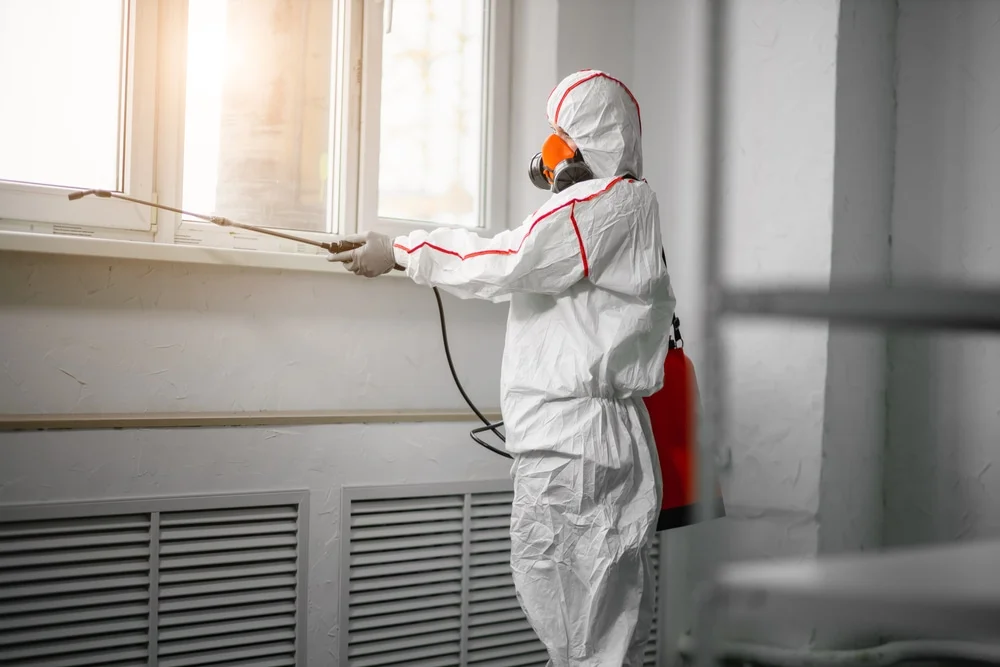 Professional mold remediation services in Kent, OH